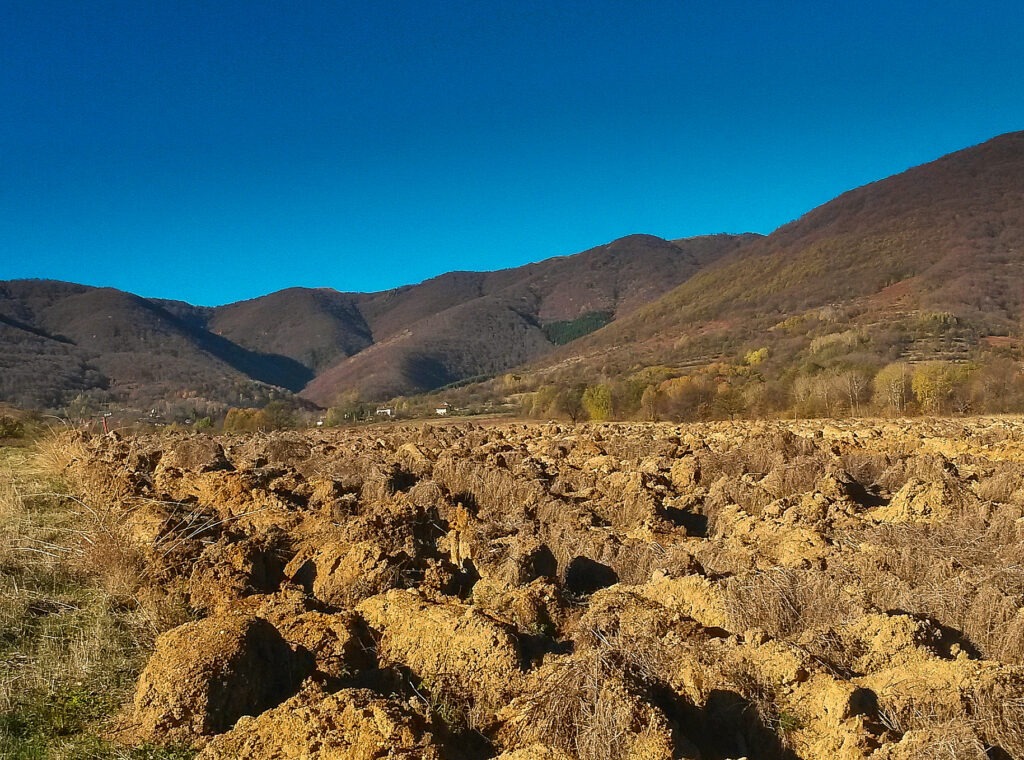 оран